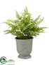 Silk Plants Direct Fern - Green - Pack of 4