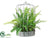 Fern Arrangement - Green - Pack of 2