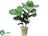 Silk Plants Direct Fiddle Leaf Fig Plant - Green - Pack of 1