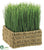 Grass - Green - Pack of 4