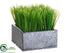 Silk Plants Direct Grass - Green - Pack of 2