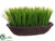 Grass - Green - Pack of 4