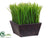 Grass - Green - Pack of 4