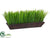 Grass - Green - Pack of 6