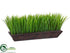 Silk Plants Direct Grass - Green - Pack of 6