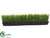 Grass - Green - Pack of 2