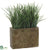 Grass - Green - Pack of 6