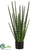 Snake Grass - Green - Pack of 2