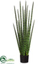 Silk Plants Direct Snake Grass - Green - Pack of 2