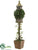 Ivy Topiary - Green Brown - Pack of 1