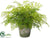 Silk Plants Direct Maidenhair Fern - Green - Pack of 2