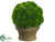 Moss Ball - Green - Pack of 4