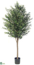 Silk Plants Direct Olive Tree - Green Two Tone - Pack of 2