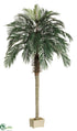 Silk Plants Direct Phoenix Palm Tree - Green - Pack of 1