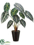 Silk Plants Direct Elephant Ear Plant - Green Cream - Pack of 6