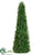 Locust Triangular Topiary - Green - Pack of 2