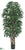 Rhapis Palm Tree - Green Two Tone - Pack of 2