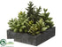 Silk Plants Direct Succulent Garden Arrangement - Green - Pack of 4