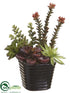 Silk Plants Direct Succulent Garden - Green Burgundy - Pack of 4