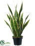 Silk Plants Direct Sansevieria - Green Cream - Pack of 4