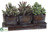 Silk Plants Direct Succulent Garden Arrangement - Green - Pack of 4