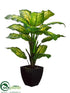 Silk Plants Direct Dieffenbachia Plant - Green Variegated - Pack of 2