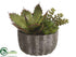 Silk Plants Direct Succulent Garden Arrangement - Green Burgundy - Pack of 4