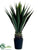 Sisal Plant - Green - Pack of 2