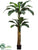 Banana Tree - Green - Pack of 2