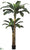 Banana Tree - Green - Pack of 2