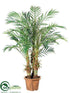 Silk Plants Direct Robellini Palm Tree - Green - Pack of 1