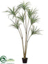 Silk Plants Direct Yucca Tree - Green Cream - Pack of 2