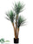 Silk Plants Direct Yucca Plant - Green Frosted - Pack of 2