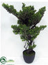 Silk Plants Direct Boxwood Bonsai - Green - Pack of 2