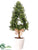 Silk Plants Direct Boxwood Topiary - Green - Pack of 2