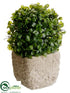 Silk Plants Direct Boxwood Topiary Ball - Green - Pack of 6