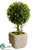 Boxwood Topiary Ball - Green - Pack of 6