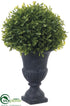 Silk Plants Direct Boxwood Topiary Ball - Green - Pack of 8