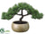 Pine Bonsai - Green - Pack of 4