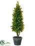 Silk Plants Direct Boxwood Topiary - Green - Pack of 2