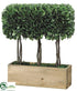 Silk Plants Direct Boxwood Topiary - Green - Pack of 2