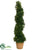 Boxwood Spiral Cone Topiary - Green - Pack of 2