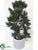 Cedar Bonsai - Green - Pack of 4