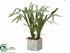 Silk Plants Direct Staghorn Fern - Green - Pack of 2