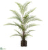 Silk Plants Direct Sword Fern - Green - Pack of 4