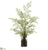 Maidenhair Fern - Green - Pack of 4