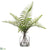 Sword Fern - Green - Pack of 6