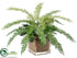 Silk Plants Direct Fish Bone Fern - Green - Pack of 4