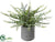 Silk Plants Direct Fern - Green - Pack of 6