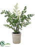 Silk Plants Direct Maidenhair Fern - Green - Pack of 4